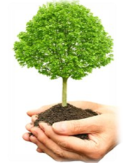 Еко-флешмоб “Посади деревце. Посади квітку”