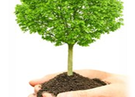 Еко-флешмоб “Посади деревце. Посади квітку”